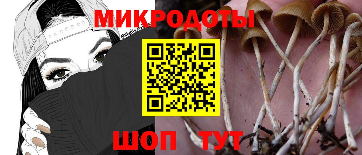 Псилоцибиновые грибы GOLDEN TEACHER Кулебаки